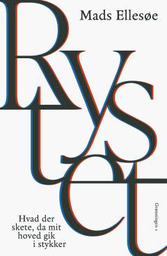 Rystet : hvad der skete, da mit hoved gik i stykker