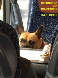 Kærlighed