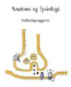 Bog, 1. udgave, 1997