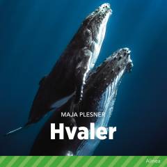 Hvaler