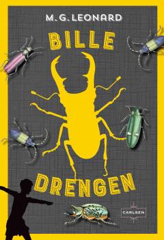 Billedrengen