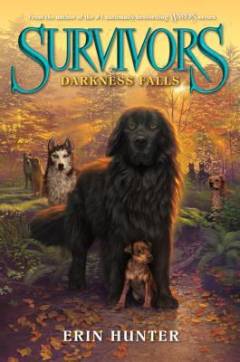Survivors - darkness falls