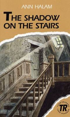 The shadow on the stairs