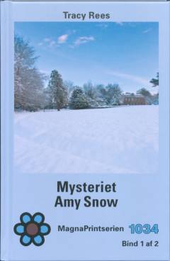 Mysteriet Amy Snow. Bind 1 (Stor skrift)