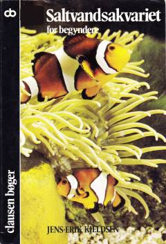 Bog, 1980