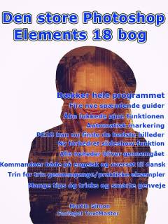 E-bog, E-bogsudgave, 2018