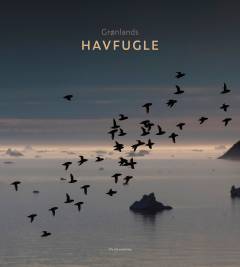 Grønlands havfugle
