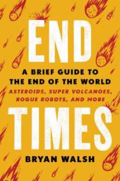 End times : a brief guide to the end of the world : asteroids, supervolcanoes, rogue robots, and more