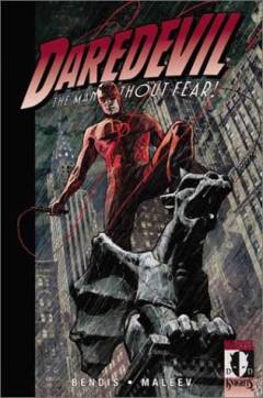 Daredevil, the man without fear!. Volume 6 : Lowlife