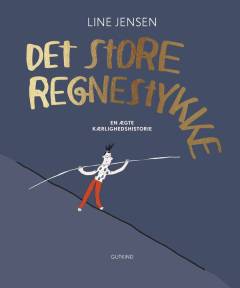 Det store regnestykke : en ægte kærlighedshistorie