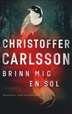 Brinn mig en sol : en roman om ett brott