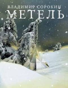 Metelʹ : Povestʹ