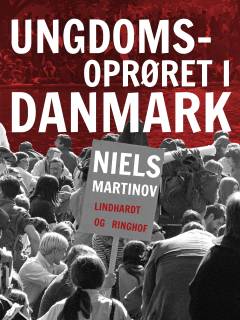 Ungdomsoprøret i Danmark : et portræt af årene, der rystede musikken, billedkunsten, teatret, litteraturen, filmen og familien