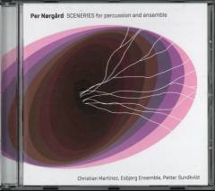 Sceneries for percussion and ensemble
