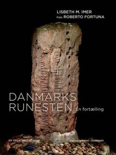 Danmarks runesten : en fortælling