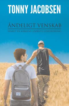Åndeligt venskab : svaret på kirkens største udfordring