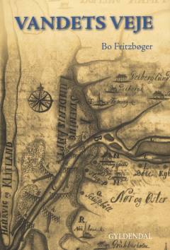Vandets veje : Skjern Ås miljøhistorie gennem 350 år