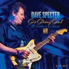Six string soul : 30 years on Delmark