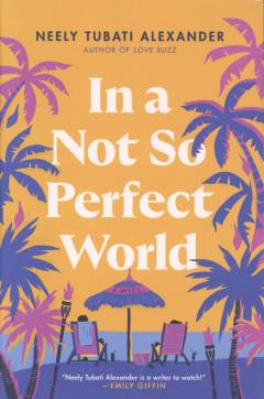In a not so perfect world : a novel