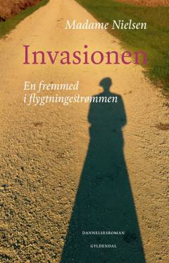 Invasionen : en fremmed i flygtningestrømmen : dannelsesroman