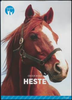 Heste