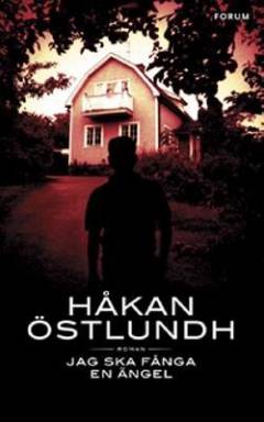 Jag ska fånga en ängel