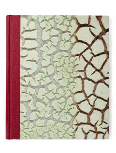 Tommerup keramiske værksted. Bind 2