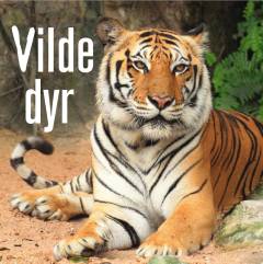 Vilde dyr