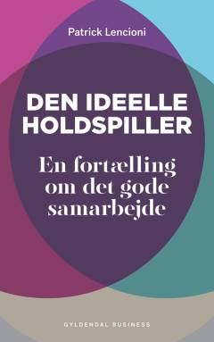 Den ideelle holdspiller : en fortælling om det gode samarbejde