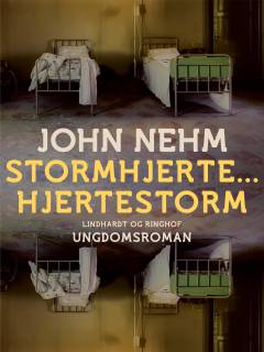 Stormhjerte - hjertestorm