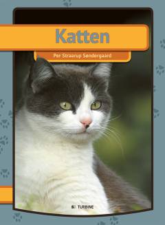 Katten