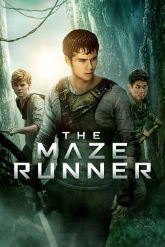 Film (dvd), 2015