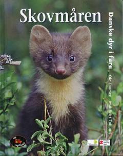 Skovmåren