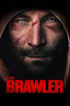The brawler