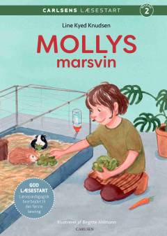 Mollys marsvin