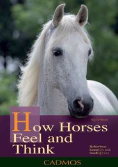 How horses feel and think : understanding behaviour, emotions and intelligence