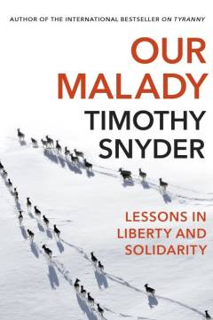 Our malady : lessons in liberty and solidarity