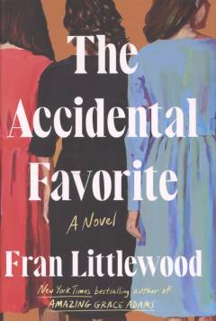 The accidental favorite : a novel