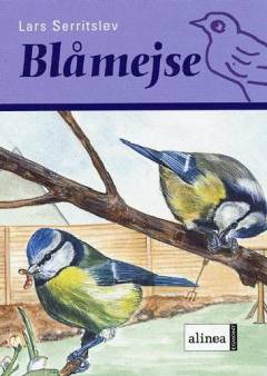 Blåmejse