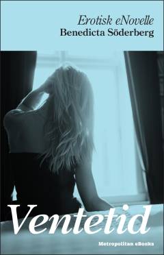 E-bog, 1. e-bogs-udgave, 2013