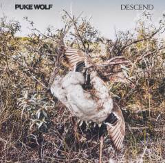 Descend