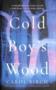 Cold boy's wood