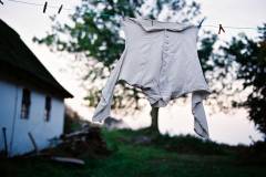 Film (online), 2008