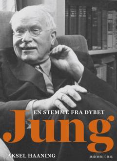Jung : en stemme fra dybet