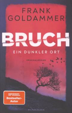Bruch  - ein dunkler Ort : Kriminalroman