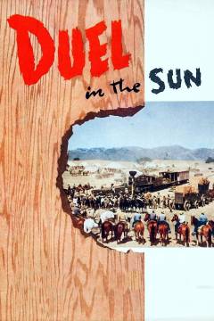 Film (dvd), 2003