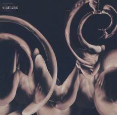 Dissolution