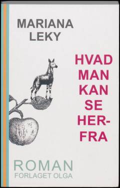 Hvad man kan se herfra. Bind 1 (Stor skrift)