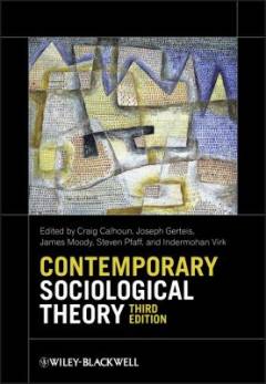 Contemporary sociological theory