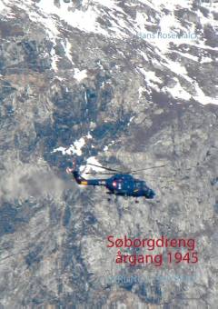 Søborgdreng årgang 1945 : lærling i 1960'erne : det der var før og efter, tidsbilleder, oplevelser, tanker, refleksioner, overvejelser & tidsspring